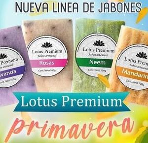 Lotus premier Primavera